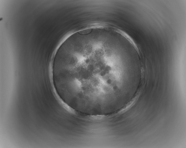 X0000115690859200911191112