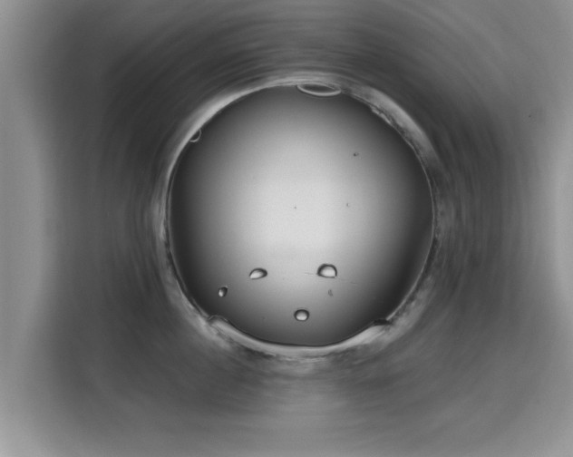 X0000115690860200911191112