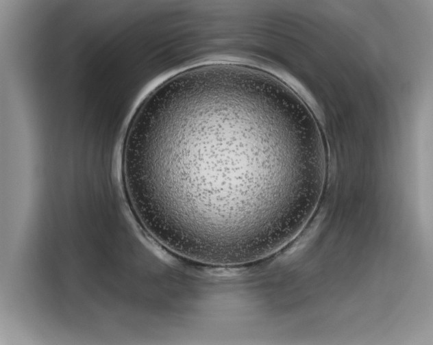 X0000115690862200911191112