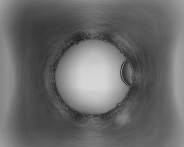 X0000115690865200911191112