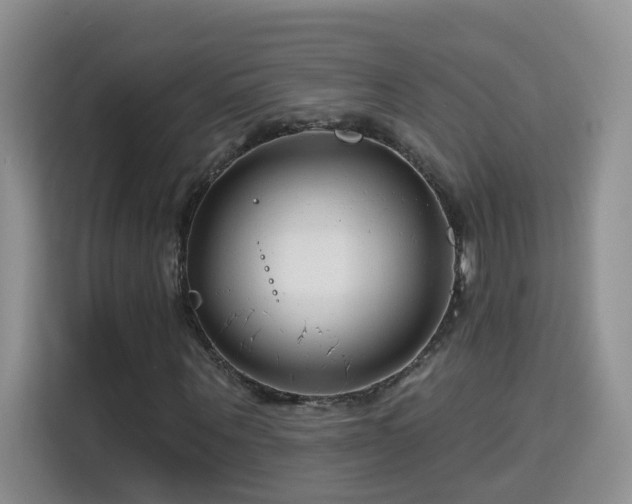 X0000115690867200911191112