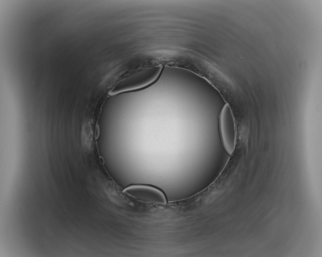 X0000115690868200911191112