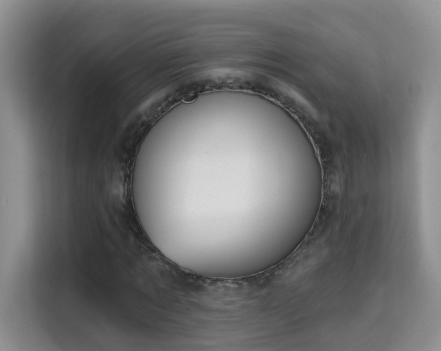 X0000115690869200911191112