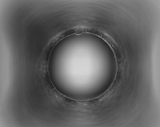 X0000115690870200911191112