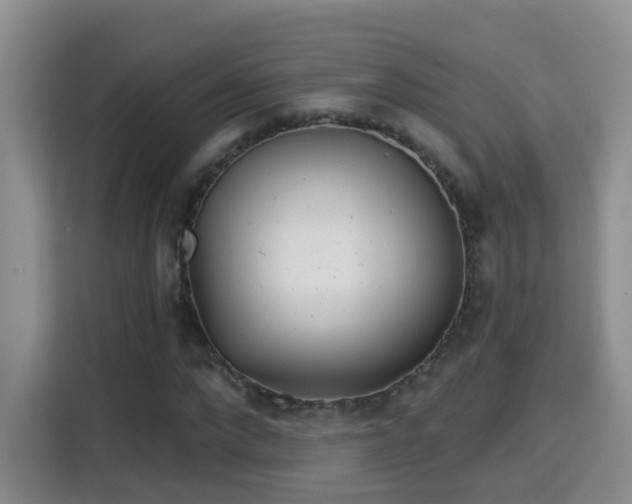 X0000115690872200911191112