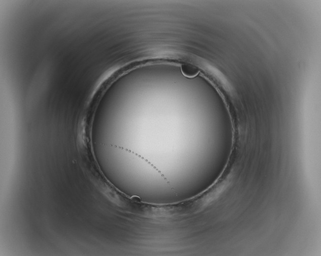 X0000115690875200911191112