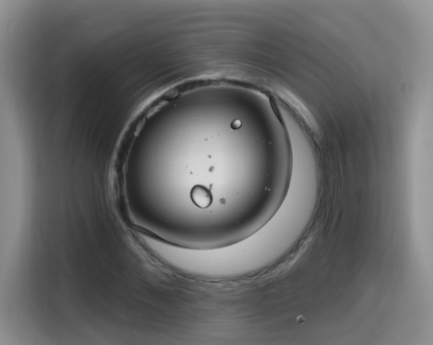 X0000115690876200911191112