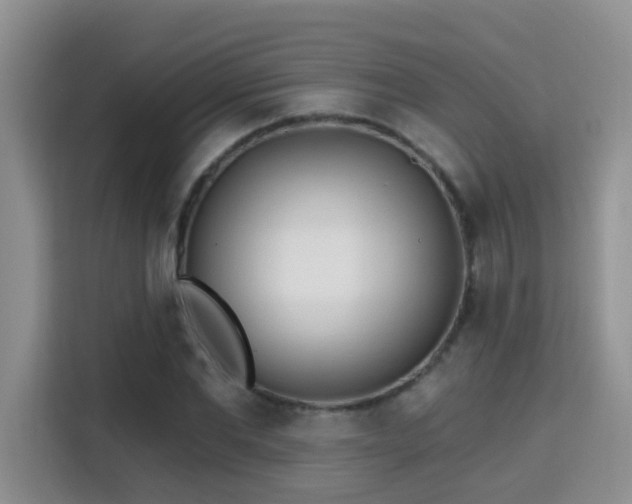 X0000115690877200911191112