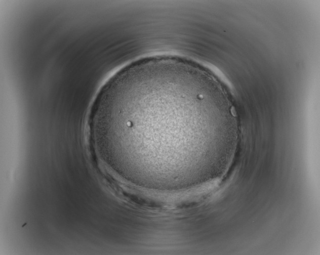 X0000115690879200911191112