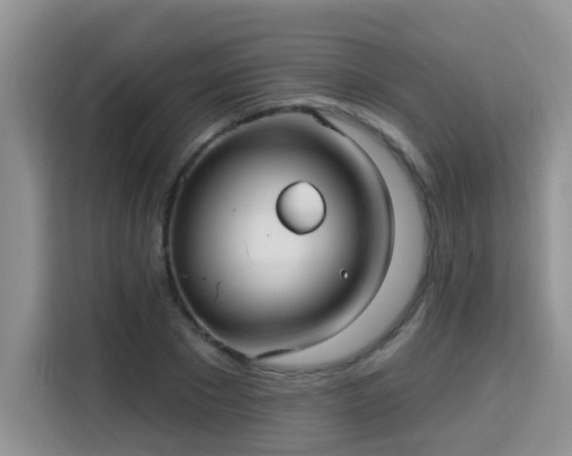 X0000115690881200911191112