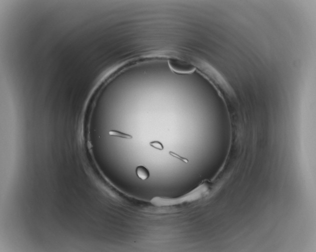 X0000115690884200911191112