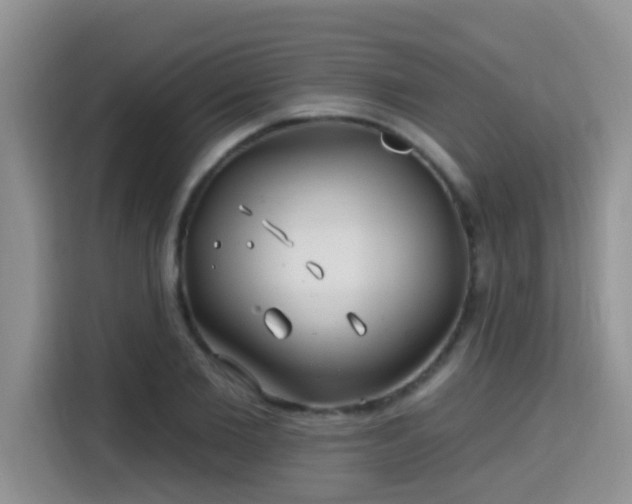 X0000115690885200911191112