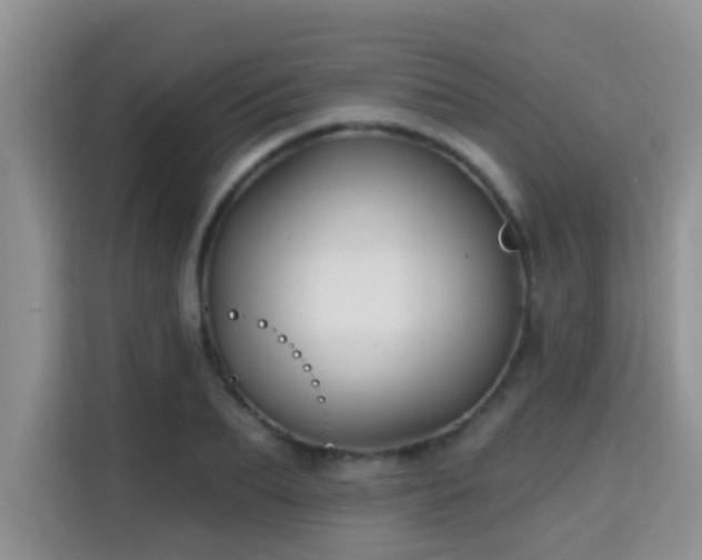 X0000115690887200911191112