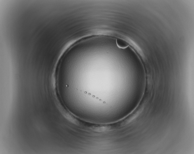 X0000115690891200911191112