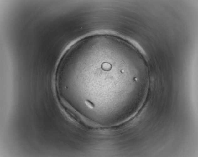 X0000115690895200911191111