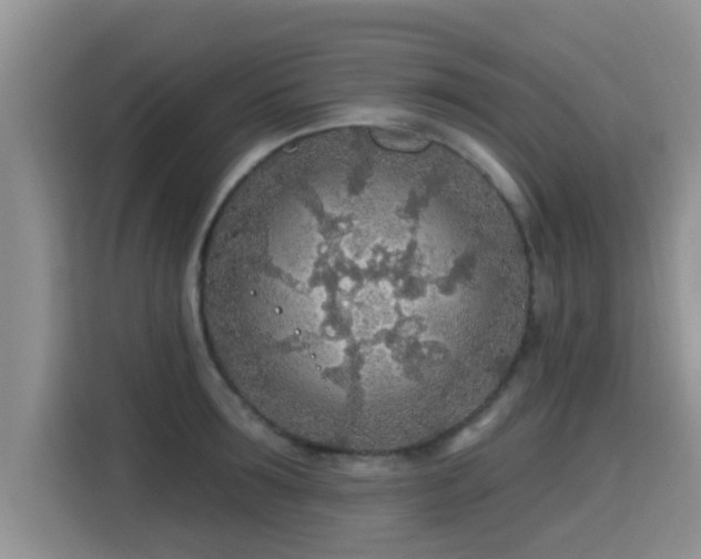 X0000115690899200911191111