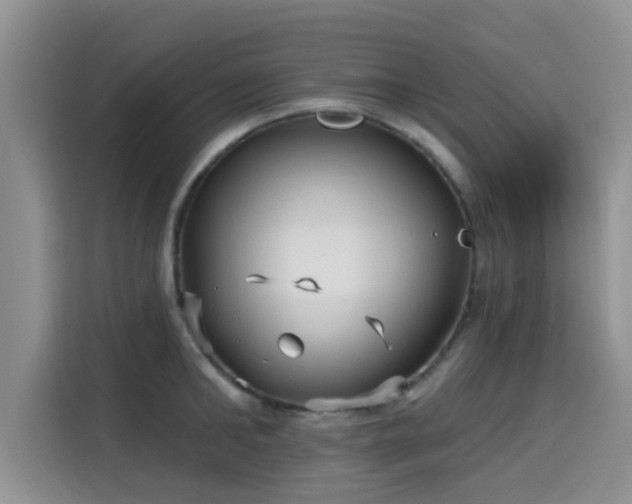 X0000115690902200911191111