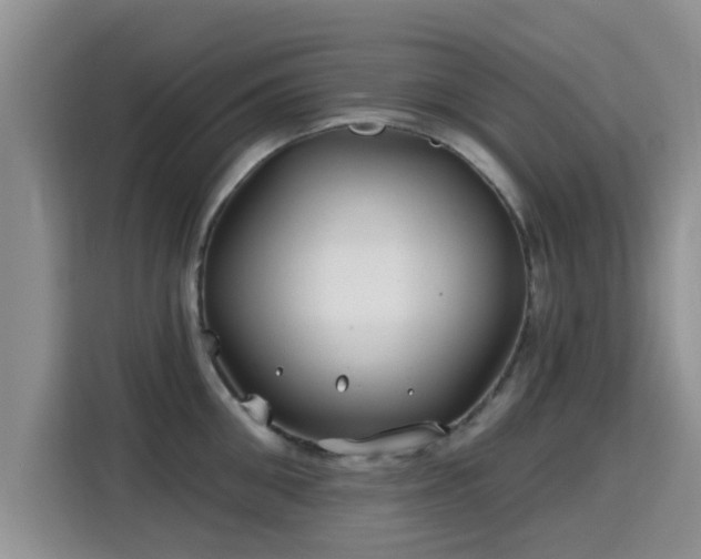 X0000115690906200911191111