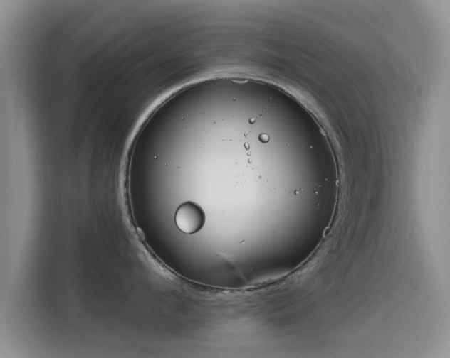 X0000115690912200911191111