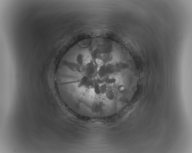 X0000115690913200911191111