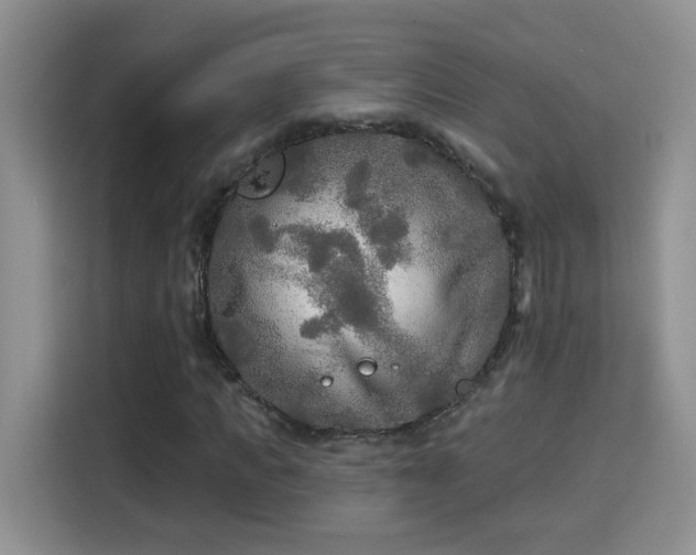 X0000115690917200911191111