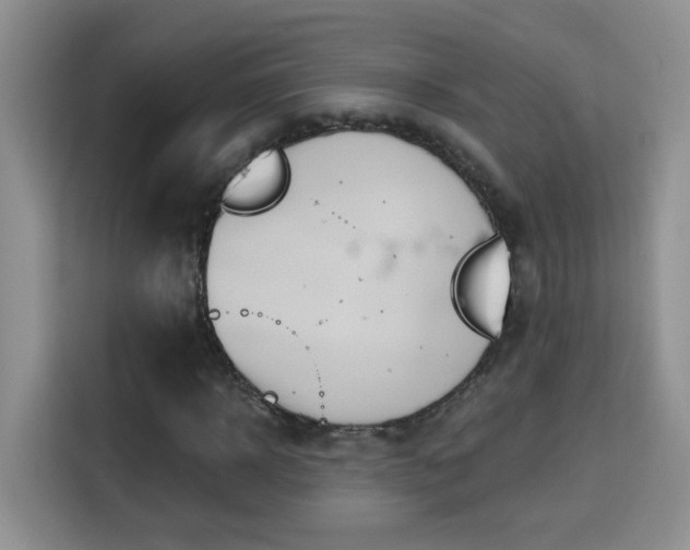 X0000115690918200911191111