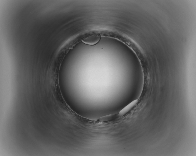 X0000115690919200911191111