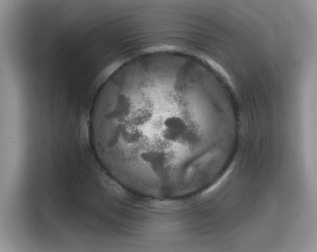 X0000115690921200911191111