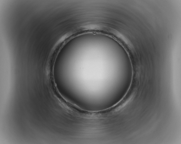 X0000115690922200911191111