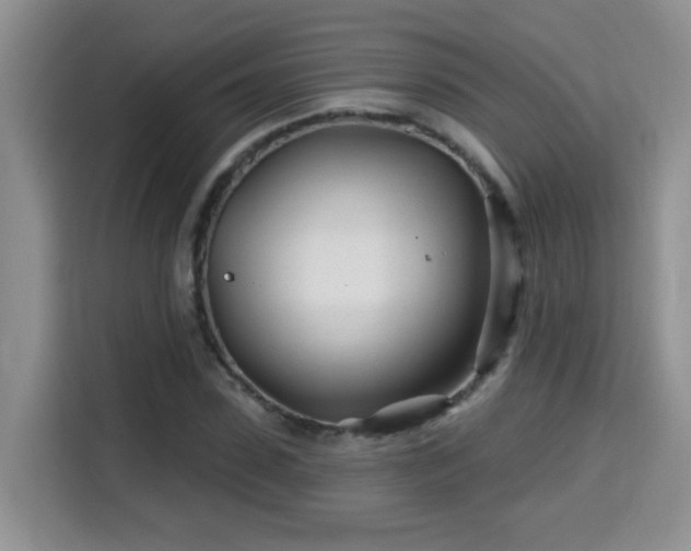 X0000115690923200911191111