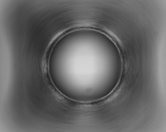 X0000115690925200911191111