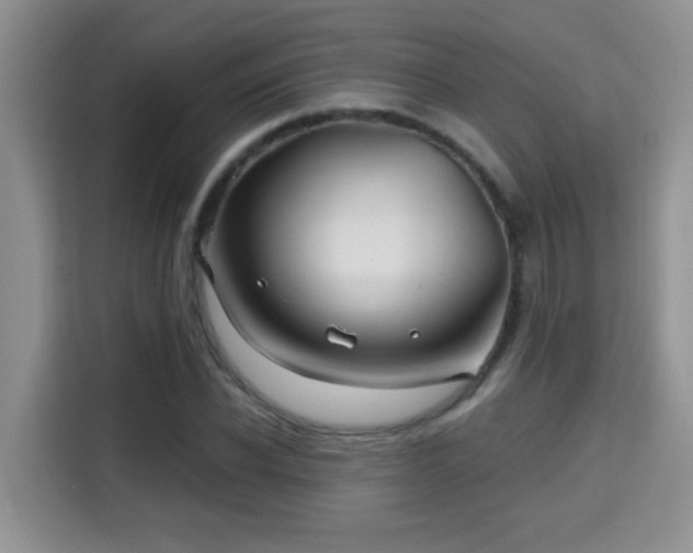 X0000115690926200911191111