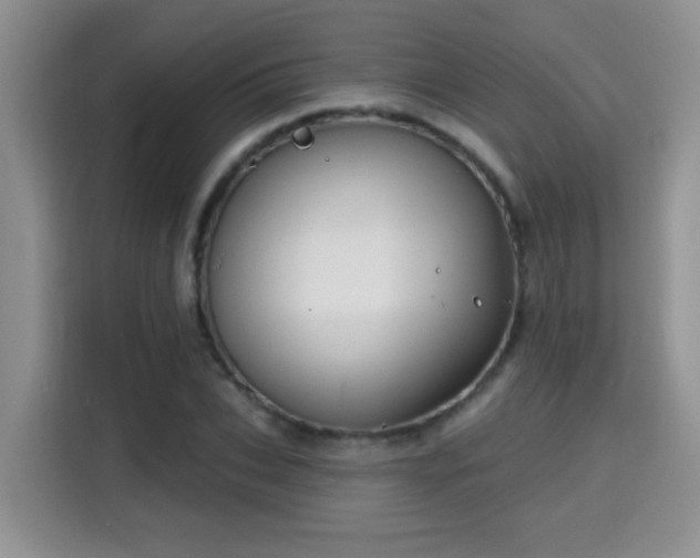 X0000115690927200911191111