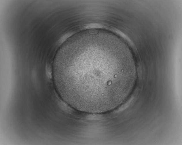 X0000115690929200911191111