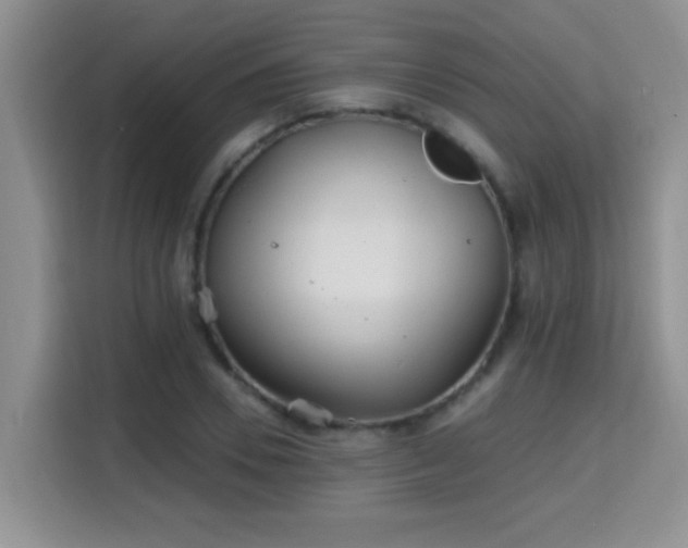 X0000115690930200911191111