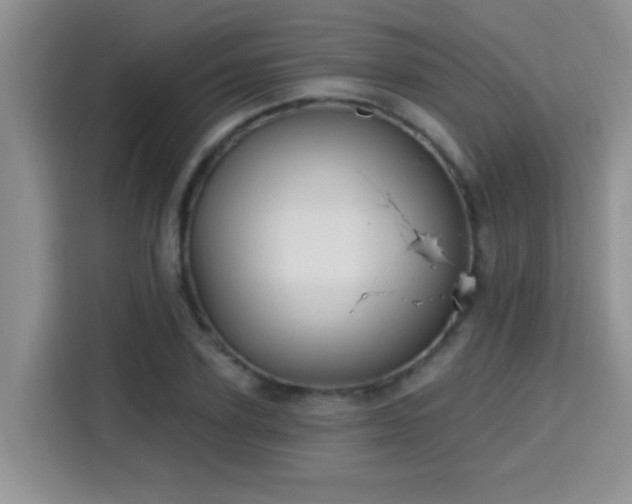 X0000115690931200911191111