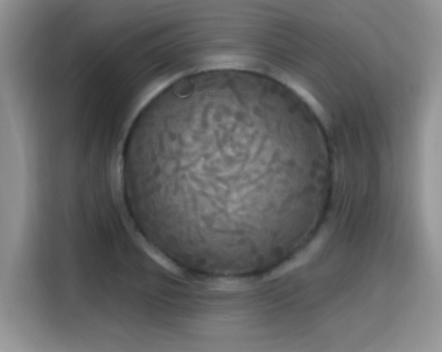 X0000115690933200911191111