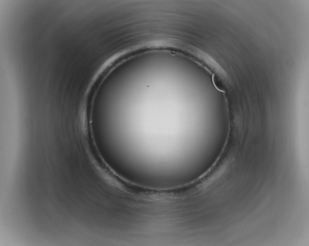 X0000115690934200911191111