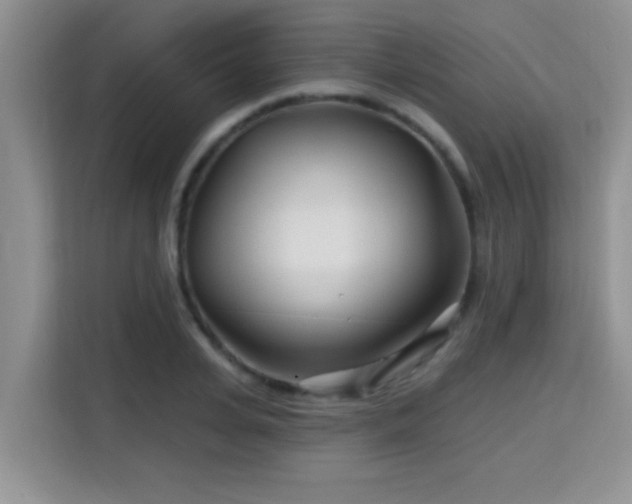 X0000115690935200911191111