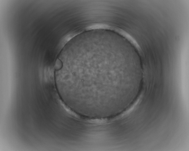 X0000115690937200911191111