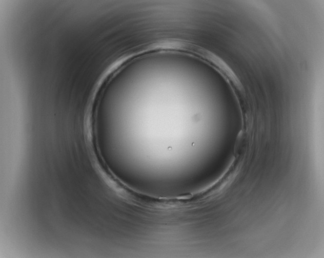 X0000115690939200911191111