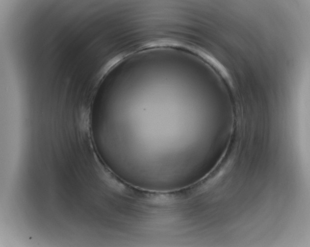 X0000115690945200911191111