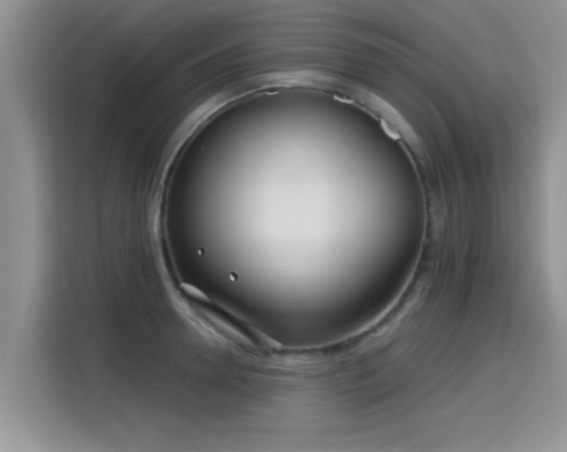 X0000115690946200911191111