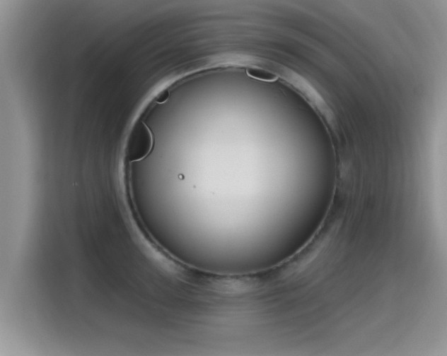 X0000115690947200911191111