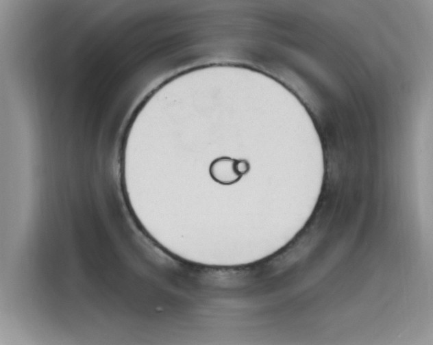 X0000115690950200911191111