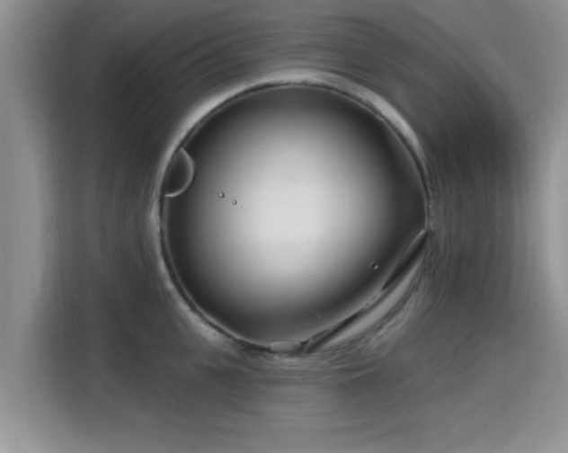 X0000115690951200911191111