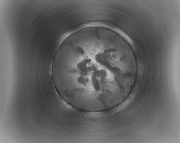 X0000115690953200911191111