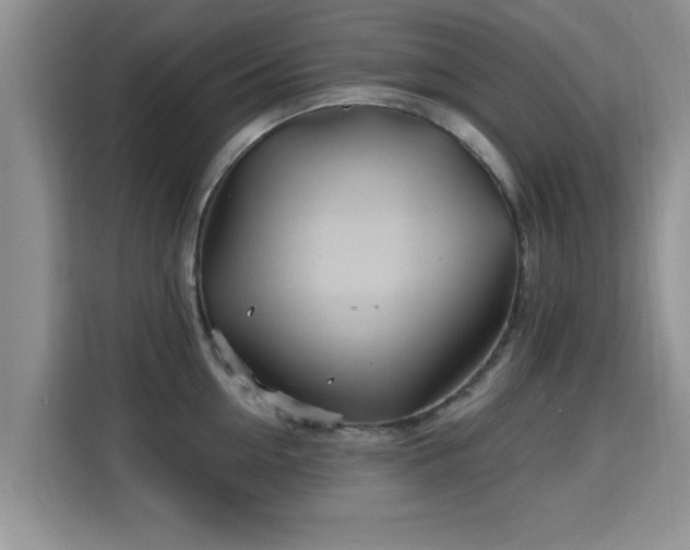 X0000115690954200911191111