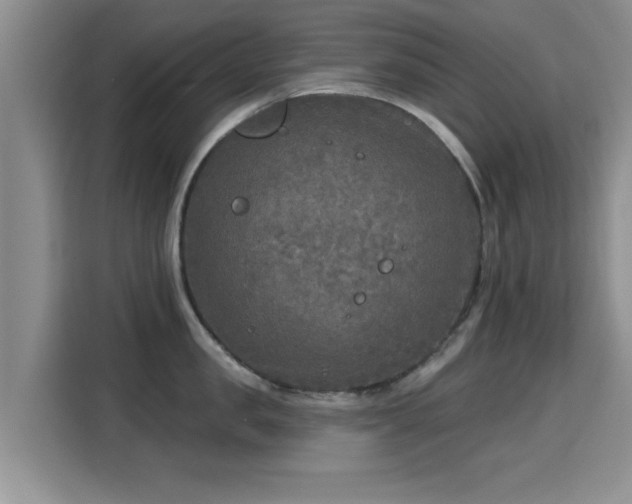 X0000115690957200911191111