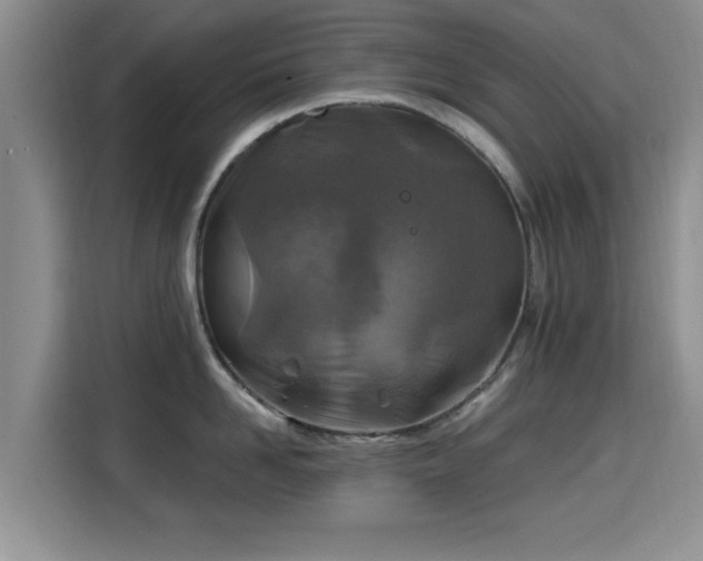 X0000115690958200911191111